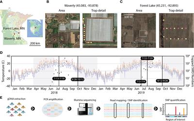 HUGE pipeline to measure temporal genetic variation in Drosophila suzukii populations for genetic biocontrol applications